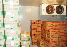 食品类冷库-2